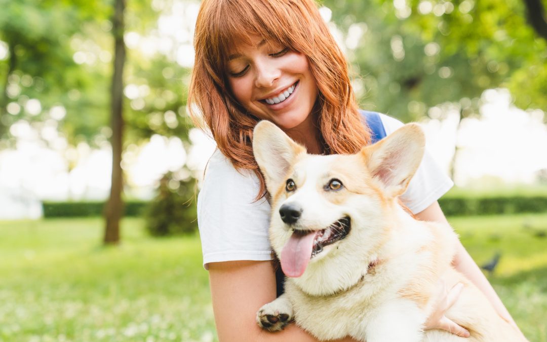 How to Keep Your Pet Disease Free